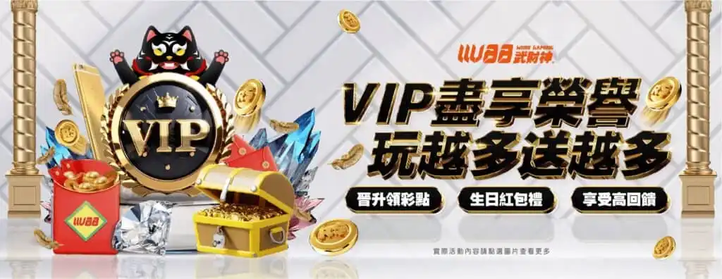 VIP 榮耀尊享形象展示